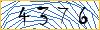 Enter the symbols from the picture