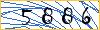 Enter the symbols from the picture