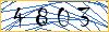 Enter the symbols from the picture