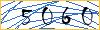 Enter the symbols from the picture